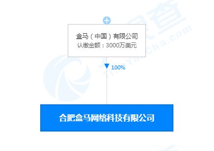 合肥盒馬網絡科技公司成立，注冊資本3000萬美元聚焦網絡信息技術